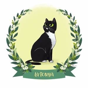 Meet your Posher, Lacy